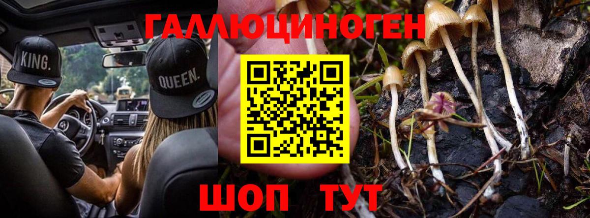 Псилоцибиновые грибы прущие грибы  Вход с VPN  как найти наркотики  Бахчисарай 