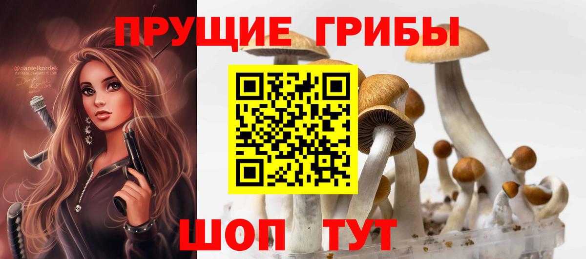 Псилоцибиновые грибы Psilocybine cubensis Бахчисарай
